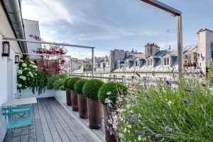 balcon amenajat cu flori