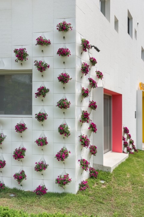 Flori la exteriorul casei