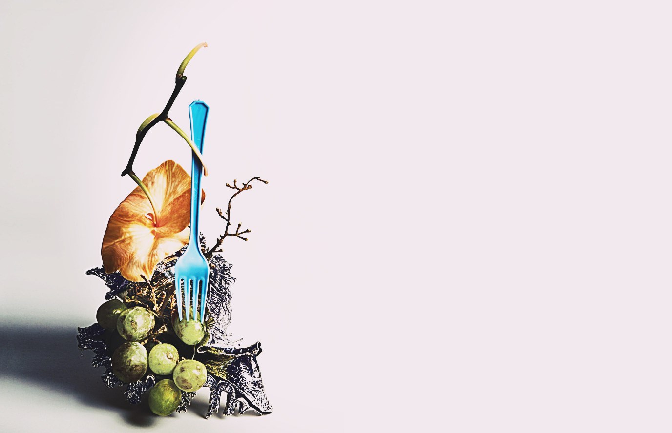 Noul stil floral Freakebana