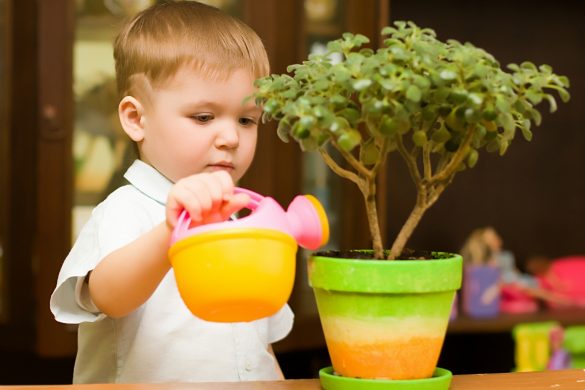 plante toxice pentru copii