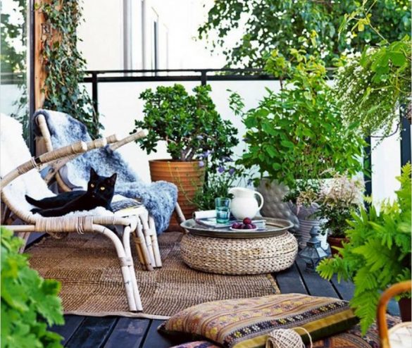 grădіna din balcon