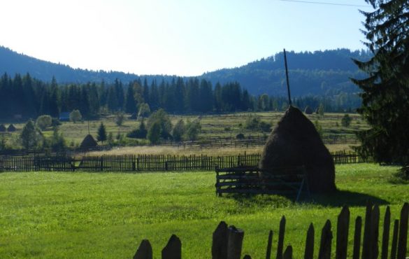 minivacanță Buzău Vatra Dornei
