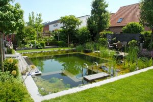piscina naturală